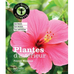 Plantes d'intérieur