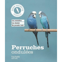 Perruches ondulées