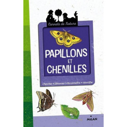 Papillons et Chenilles