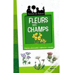 Fleurs des champs