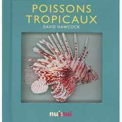 Poissons tropicaux