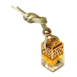 Car perfume diffuser (Car...