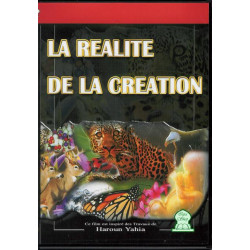 The reality of creation