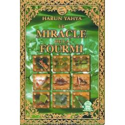 Le miracle de la fourmi