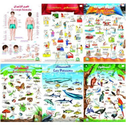 Pack de 18 grands posters...