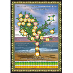 Poster: The Family Tree of...