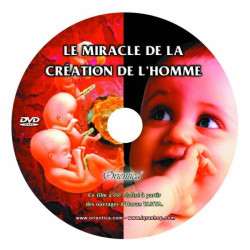 The Miracle of the Creation...