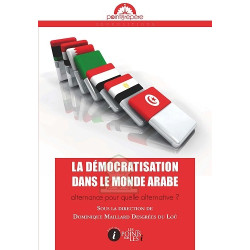 La démocratisation dans le...