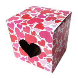 Special cardboard gift box...